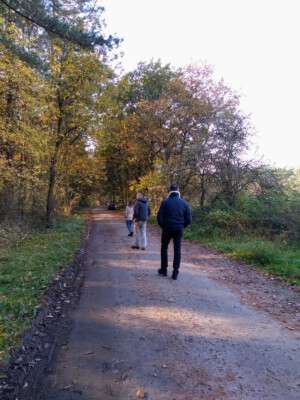 Nimm Deine Umgebung wahr