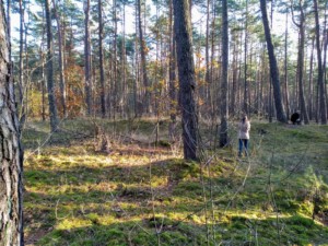 Stille