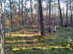 Stille